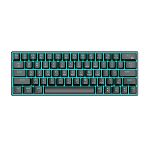 T60 白底